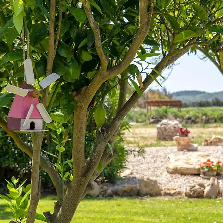 Appartement Nuras - Antonio *